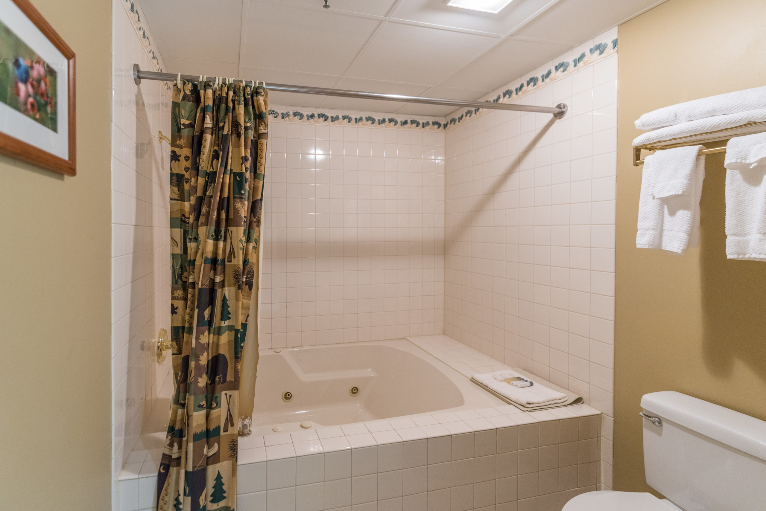 Jacuzzi shower inside deluxe two bed queen room