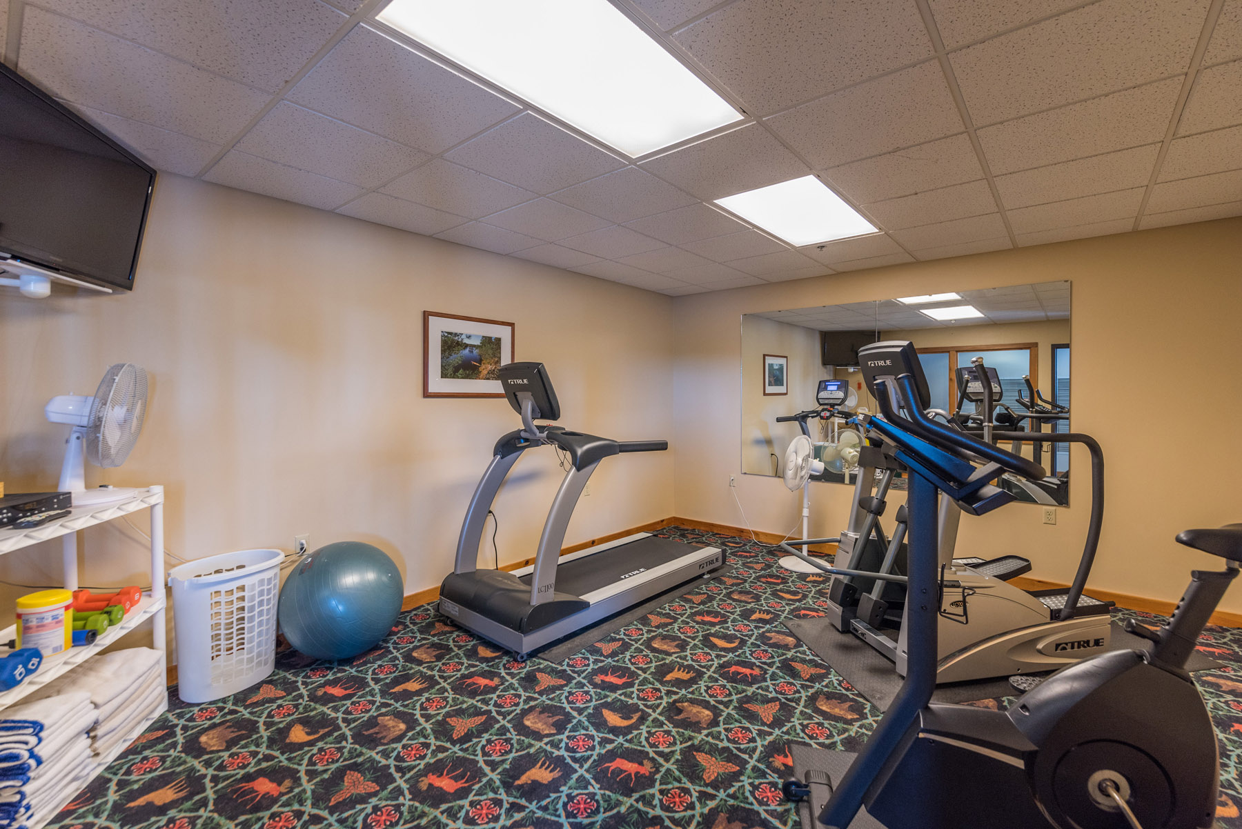 Treadmill, elliptical and other exercise equipment in Grand Ely Lodge Resort gym