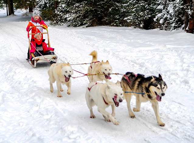 A boat sits at a dock during sunset